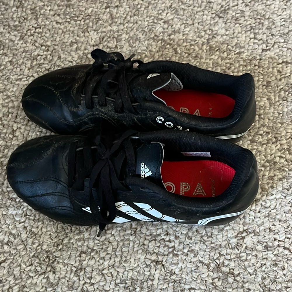 Cleats in excellent condition size 2.5